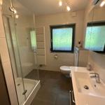 Bathroom with shower, toilet, and sink. Window with green pattern.