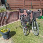 zwei Fahrräder mietfrei