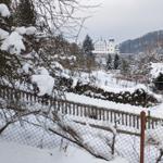 Garten im Winter