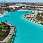 Large pool surrounded by palm trees and green areas