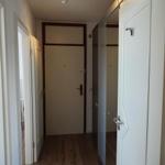 Flur mit Holzboden und weißen Türen. Deckenleuchte und Spiegel sichtbar.