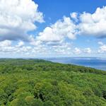 Weitläufiger Blick auf Wald und Meer unter blauem Himmel mit weißen Wolken.