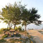 Holztisch und Bänke unter Bäumen am Strand. Blick auf ruhiges Wasser und eine kleine Insel.