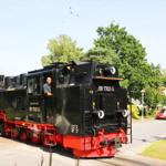 Schwarzer Dampflok mit rotem Unterbau fährt durch eine grüne Straße mit Bäumen und einem Bahnsignal.