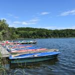 Boote liegen am Ufer eines Sees mit Wald im Hintergrund.