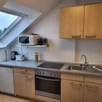 Küche mit Dunstabzug, Herd, Spüle und Dachfenster mit Blick auf Wald.