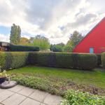 Roter Gartenbereich mit Rasen, Hecken und Pflanzen. Hintergrund mit Bäumen und Häusern.