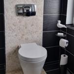 Toilet with stone tile wall, mirror, and bird decoration on the wall.
