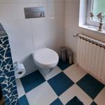 Bathroom with toilet, blue-and-white floor, and window with sea decor.