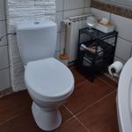 Toilet with bathtub, radiator, and shelf in the bathroom.
