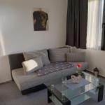 Wohnzimmer mit Sofa, Glas-Tisch und Wandbild eines Hundes.