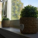 Several woven plant pots with green plants sit on the windowsill.