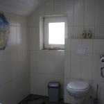 Bathroom with toilet, window, trash bin, and anchor rug.