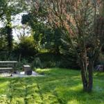 Backyard with table, bench, and tree. Lawn area and dense forest in the background.