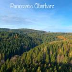 Panoramablick auf den Oberharz mit dichten Wäldern und bewölktem Himmel.
