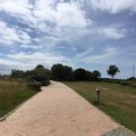 Ein gepflasterter Weg führt durch Grasland und Bäume unter einem bewölkten Himmel.