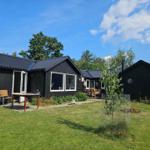 Black wooden houses with terrace and garden under blue sky.