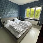 Bedroom with double bed, patterned blue wallpaper, and window with view of green hedge.