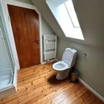 Shower, toilet, and heater in an attic bathroom with wooden floor and skylight.