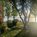 Path through trees leads to a lake with boats and sunlight.