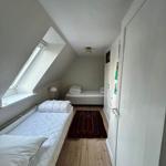 Room with two beds, wooden floor, and skylight. Small rug and closet.