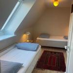 Room with two beds, skylight, and wooden floor. Rug and nightstand visible.