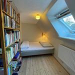 Bedroom with sloped ceiling, bed, bookshelf, and skylight.