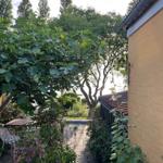 Pathway with plants and stone slabs leads to a terrace.