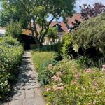 Stone path through a garden with flowers and trees leads to a house with a red roof.