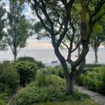 Garden path with trees and view of calm water with boats.