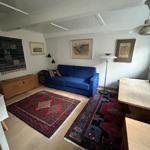 A living room with a blue sofa, two rugs, and wooden furniture.