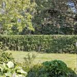 Durch die Tür blickt man auf einen grünen Rasen mit Hecke und Bäumen.