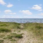 Grasland am Strand mit Blick auf das Meer unter blauem Himmel mit weißen Wolken.