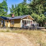 Ein gelbes Holzhaus mit Terrasse und Grillplatz im Wald.