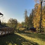 Roter Holzhaus mit Terrasse, umgeben von Herbstbäumen und Grasfläche.