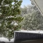 Schneefall vor einem Fenster mit Nadelbäumen und schneebedecktem Boden.