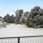 Schneebedeckter Garten mit Bäumen und Häusern im Hintergrund.