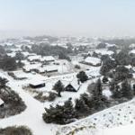 Schneebedeckte Häuser und Bäume in einer ländlichen Umgebung.