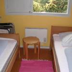 Two beds, small table, window with green view, wall heater, and pink rug.