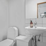 Bathroom with toilet, sink, and mirror. Wooden shelf and plant visible.
