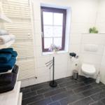 Badezimmer mit Dusche, Toilette und Handtuchregal. Fenster mit Pflanze.