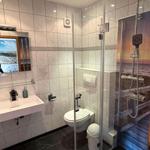 Badezimmer mit Waschtisch und moderner Dusche