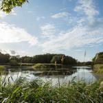 Ruhiger See mit Ufervegetation und Bäumen unter blauem Himmel mit weißen Wolken.