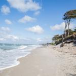 Strand mit Sand, Wellen und Bäumen an der Küste.