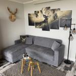 Ein Wohnzimmer mit grauem Sofa, Wandbildern und Holzdekor.