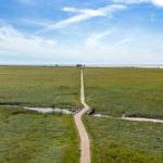 Eine Straße führt durch eine grüne Wiese zum Strand. Im Hintergrund ist das Meer zu sehen.