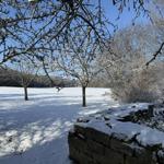 Der rund 600 m² große Garten mit unverbaubarem Blick auf Feld und Wald ist 1,20 m hoch umzäunt.