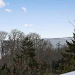 Panorama over lake and forest under blue sky with scattered clouds.