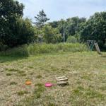 Green yard with playground and colorful frisbees.