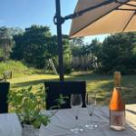 Table with bottle and glasses under umbrella in garden with greenery and playground equipment.